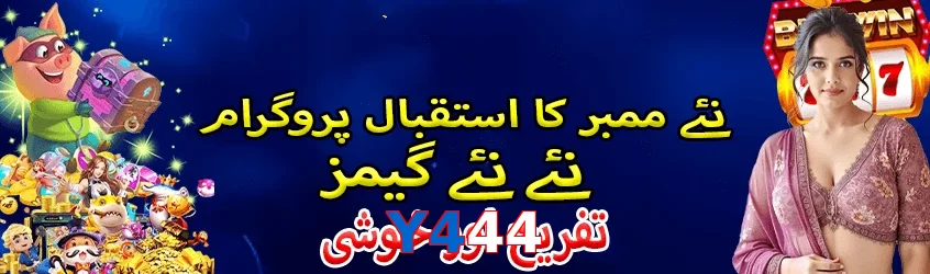 Y444 interface sample